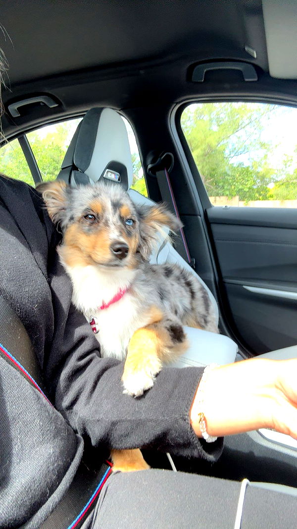 sadie.mckenna image ~ Altpins