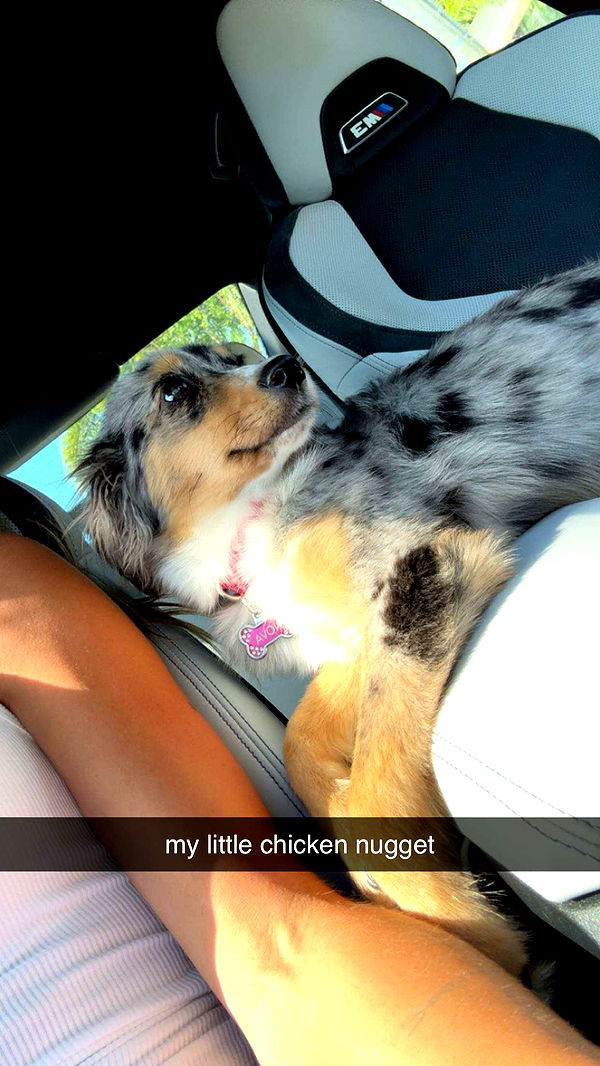 sadie.mckenna image ~ Altpins