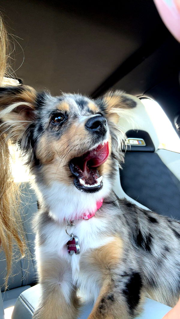 sadie.mckenna image ~ Altpins