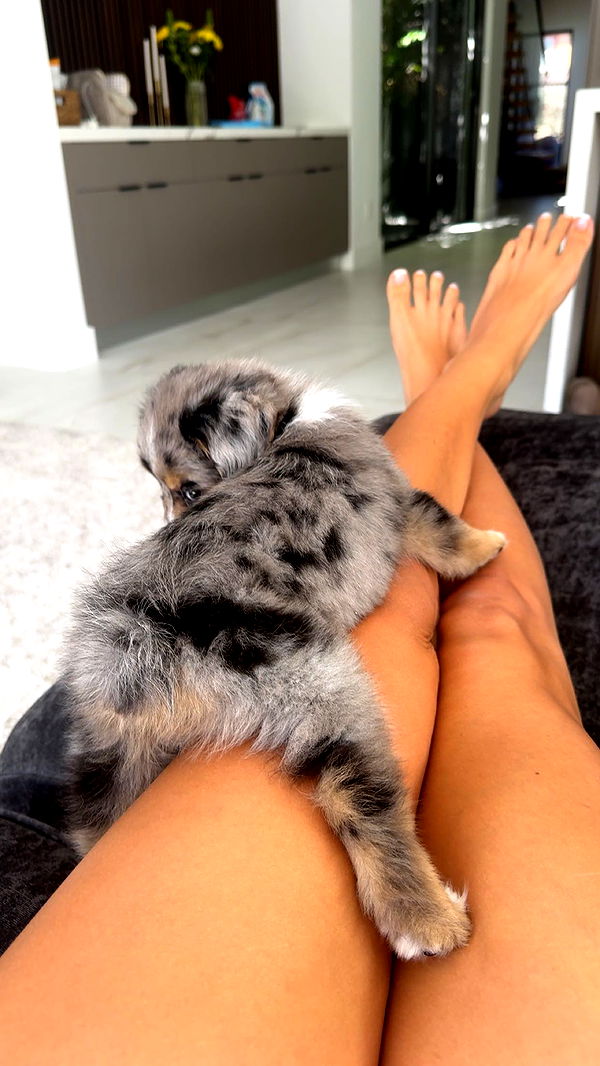 sadie.mckenna image ~ Altpins