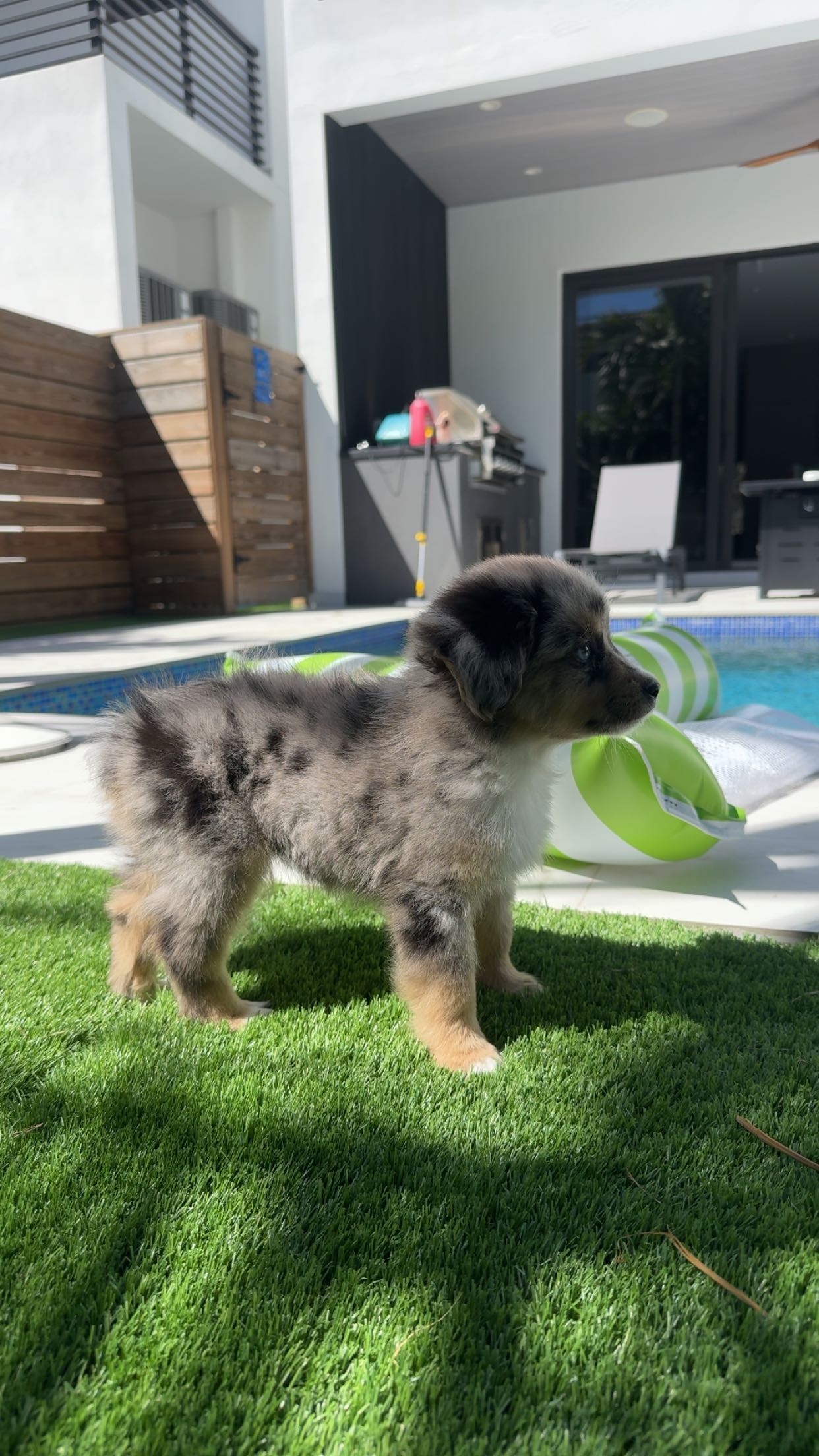 sadie.mckenna snapchat image archive image