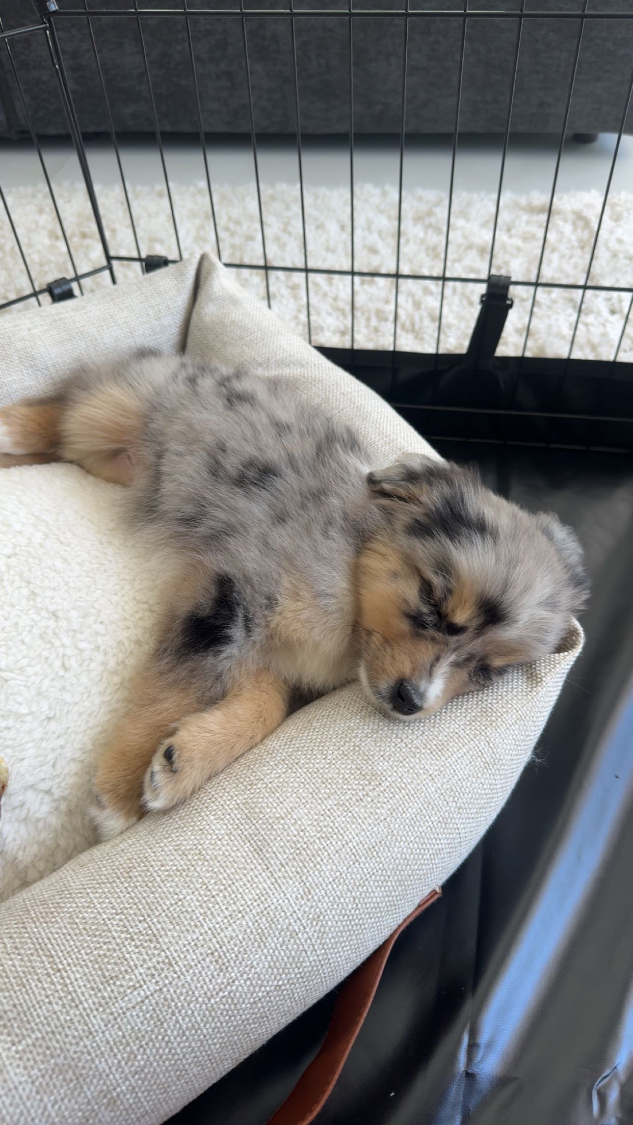 sadie.mckenna snapchat image archive image