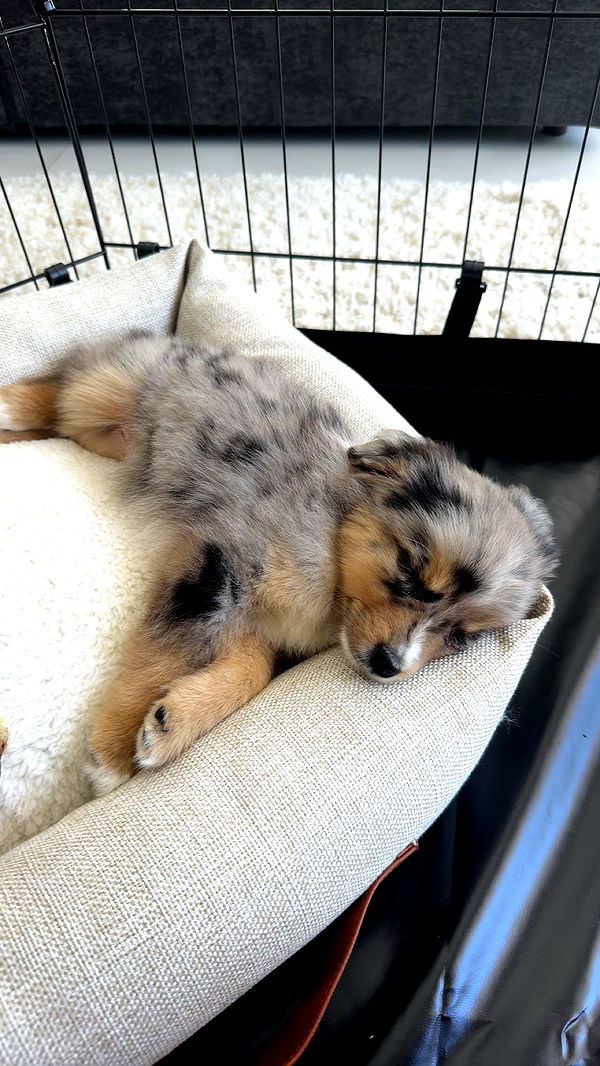 sadie.mckenna image ~ Altpins