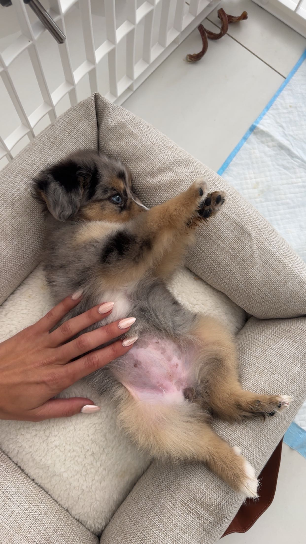 sadie.mckenna snapchat image archive image