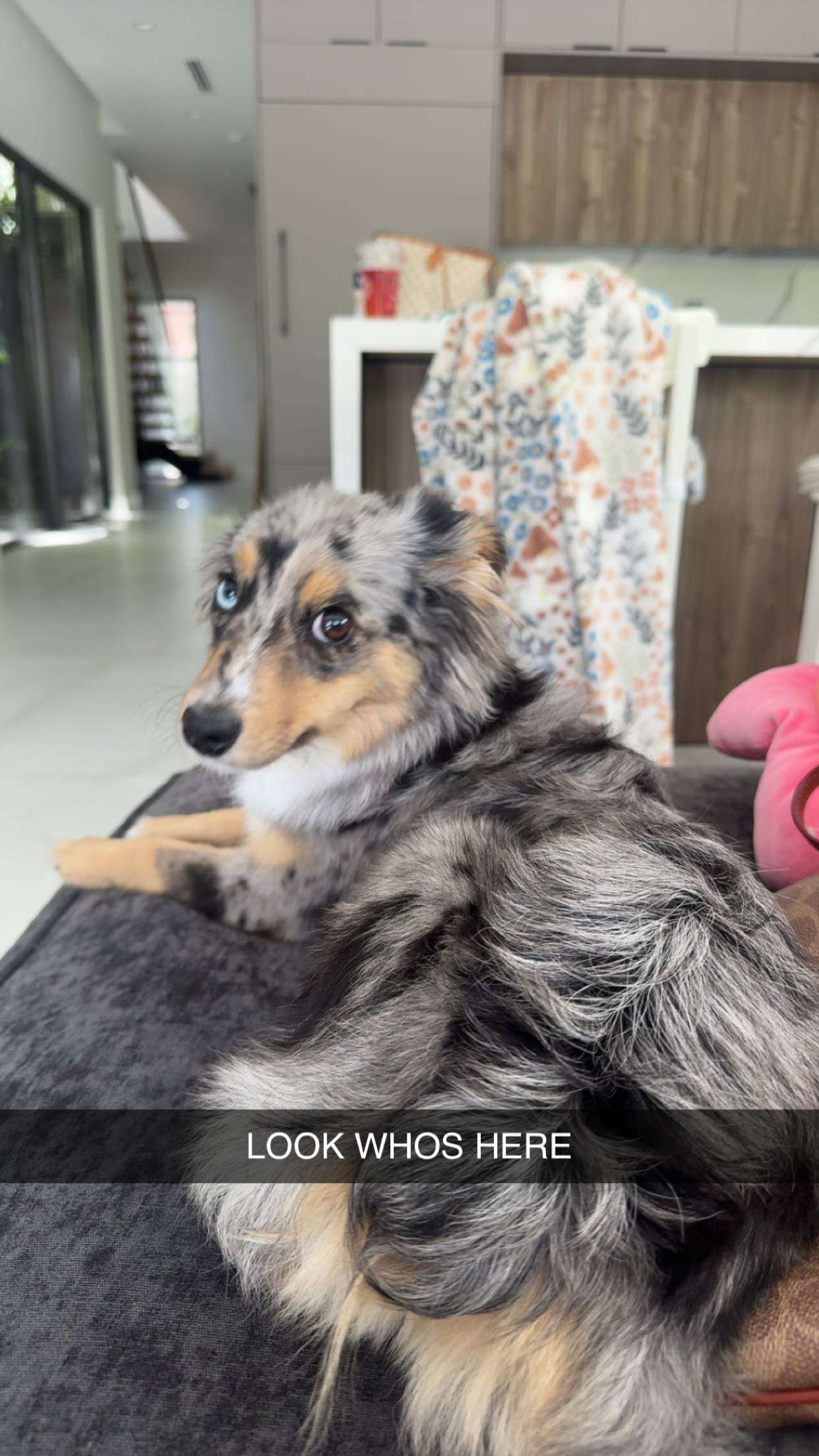 sadie.mckenna snapchat image archive image