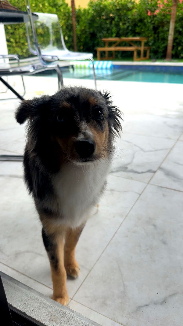 sadie.mckenna image ~ Altpins