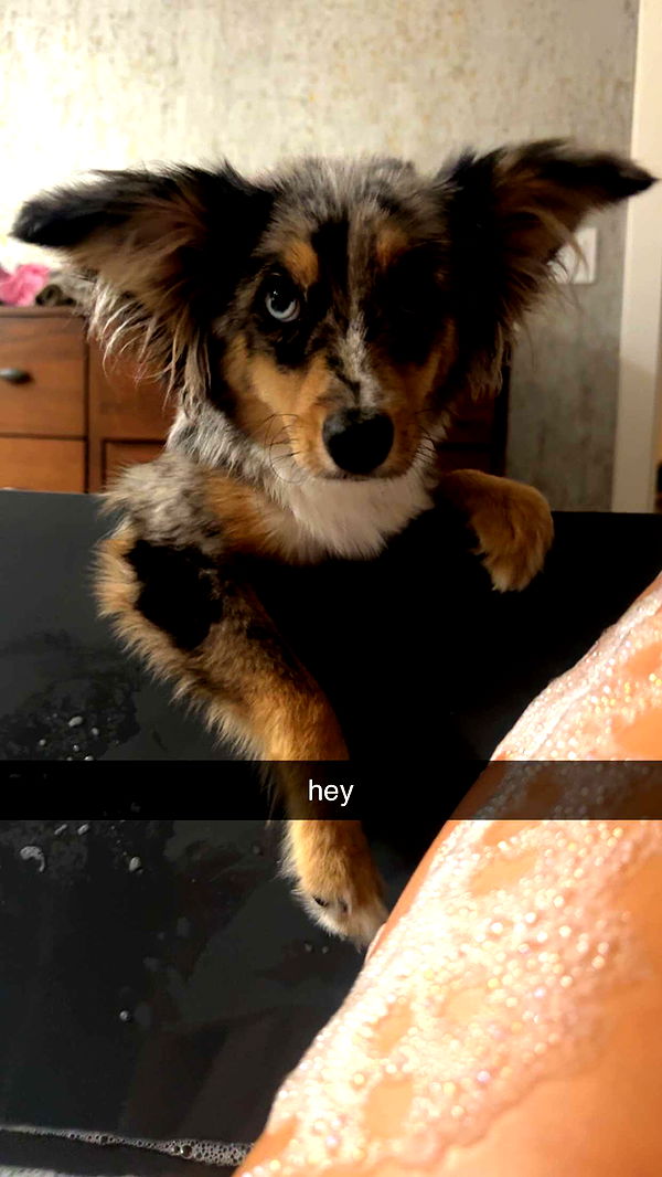 sadie.mckenna image ~ Altpins