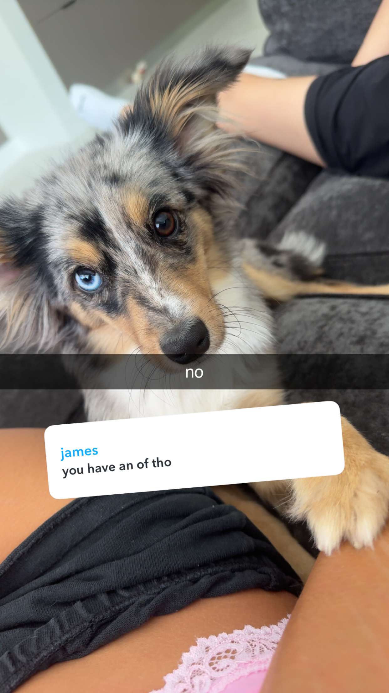 sadie.mckenna snapchat image archive image