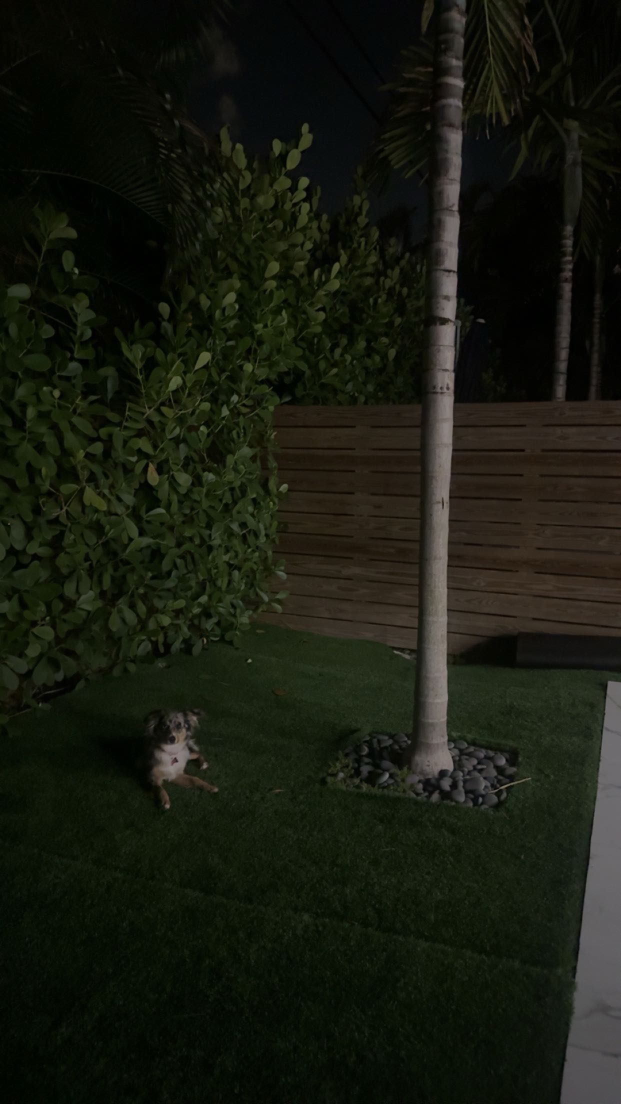 sadie.mckenna snapchat image archive image