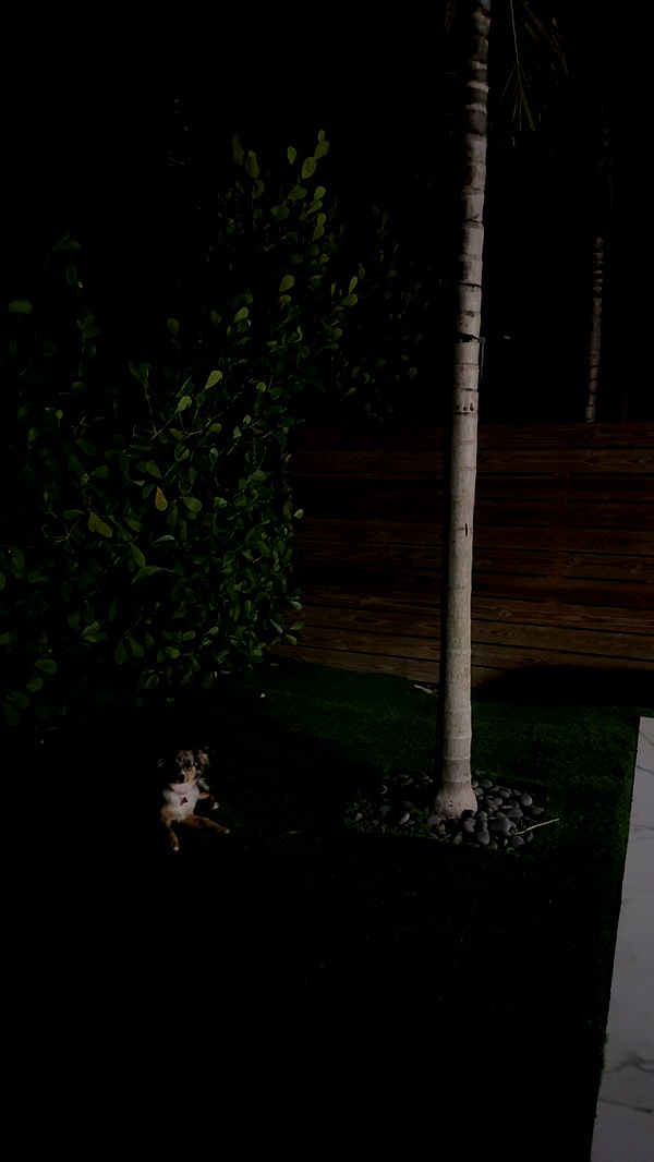 sadie.mckenna image ~ Altpins