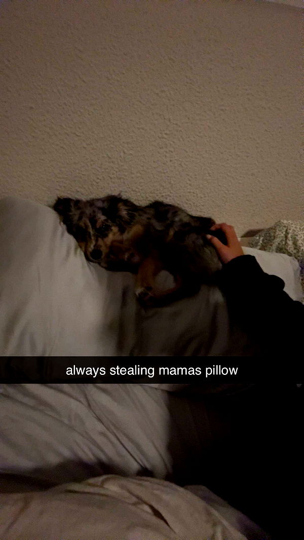 sadie.mckenna image ~ Altpins