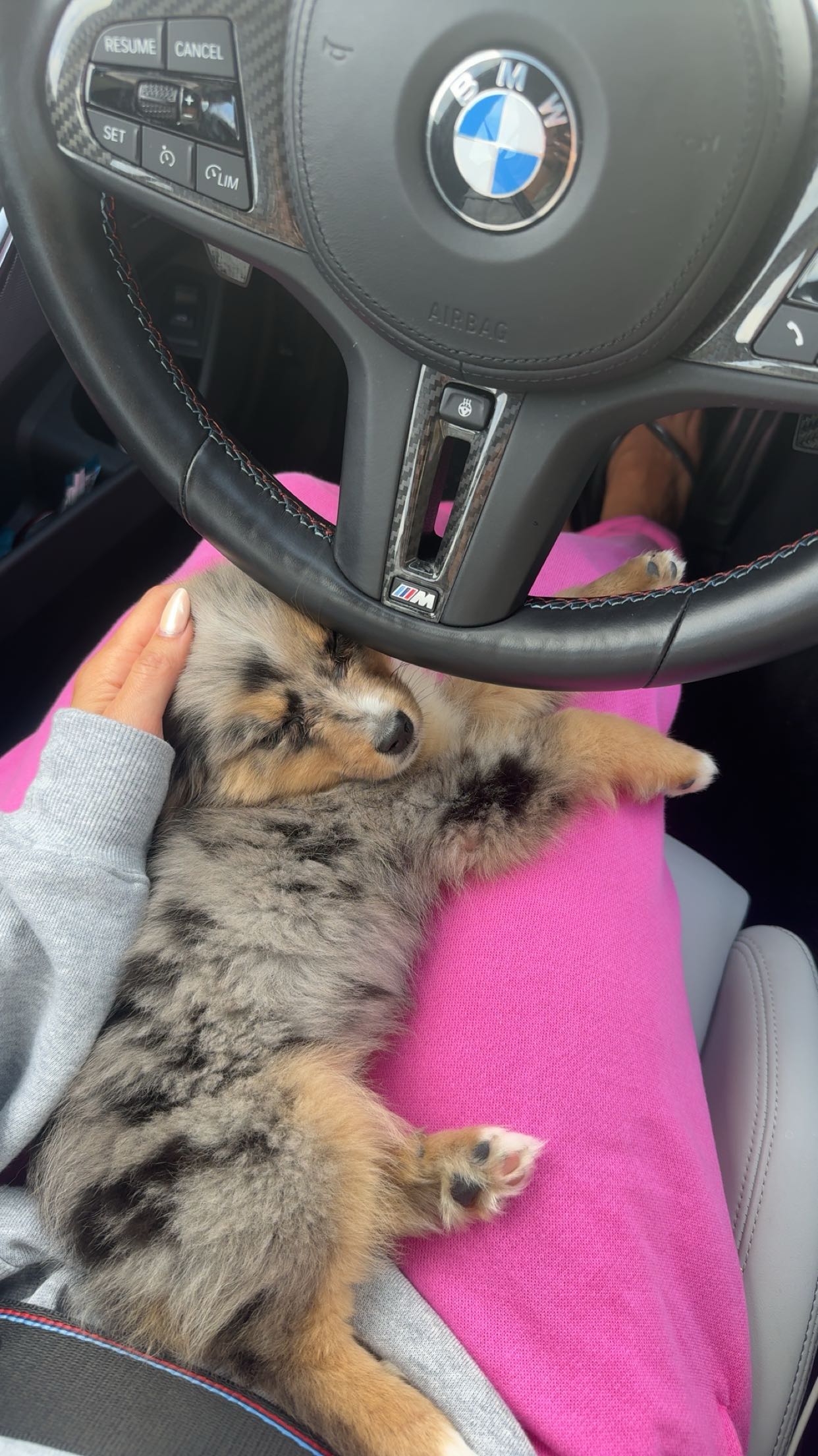 sadie.mckenna snapchat image archive image