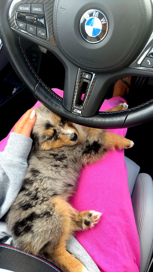 sadie.mckenna image ~ Altpins