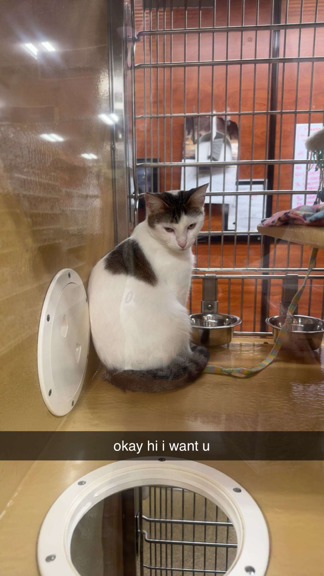 sadie.mckenna snapchat image archive image