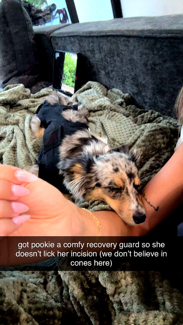 sadie.mckenna image ~ Altpins