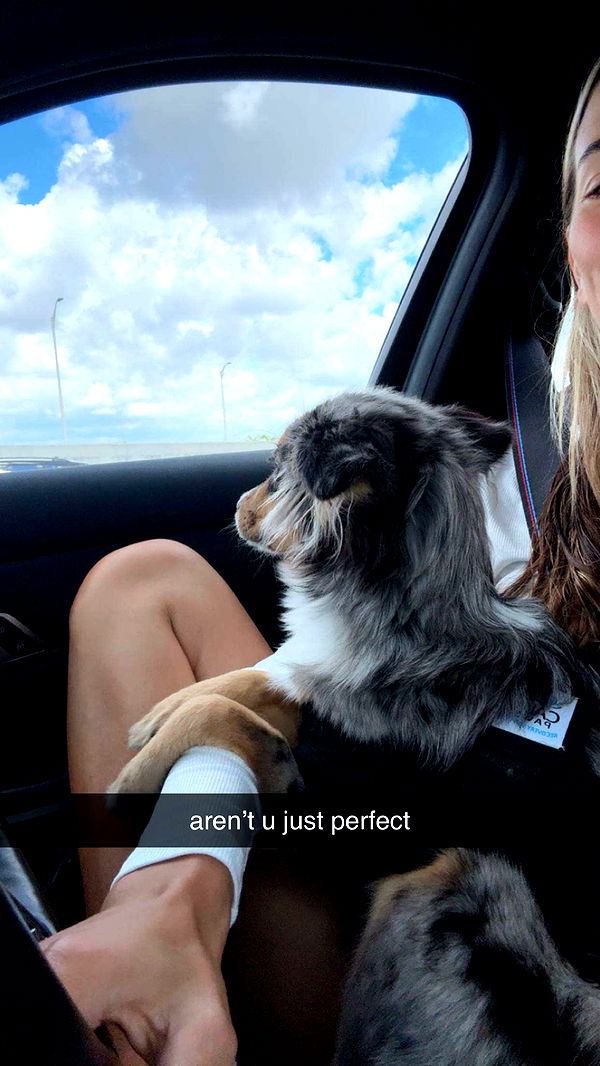 sadie.mckenna image ~ Altpins