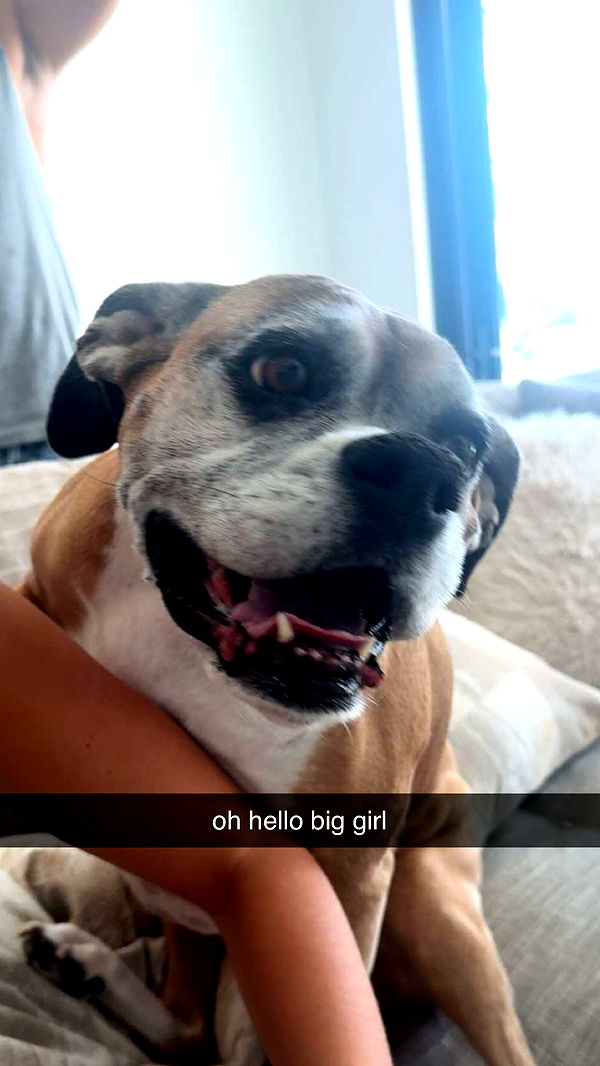 sadie.mckenna image ~ Altpins