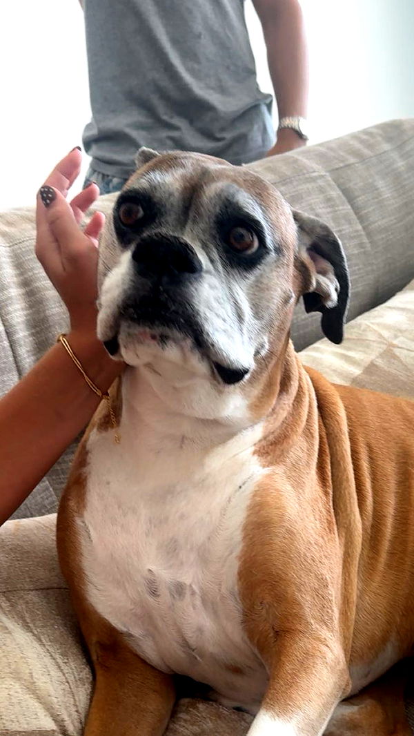 sadie.mckenna image ~ Altpins