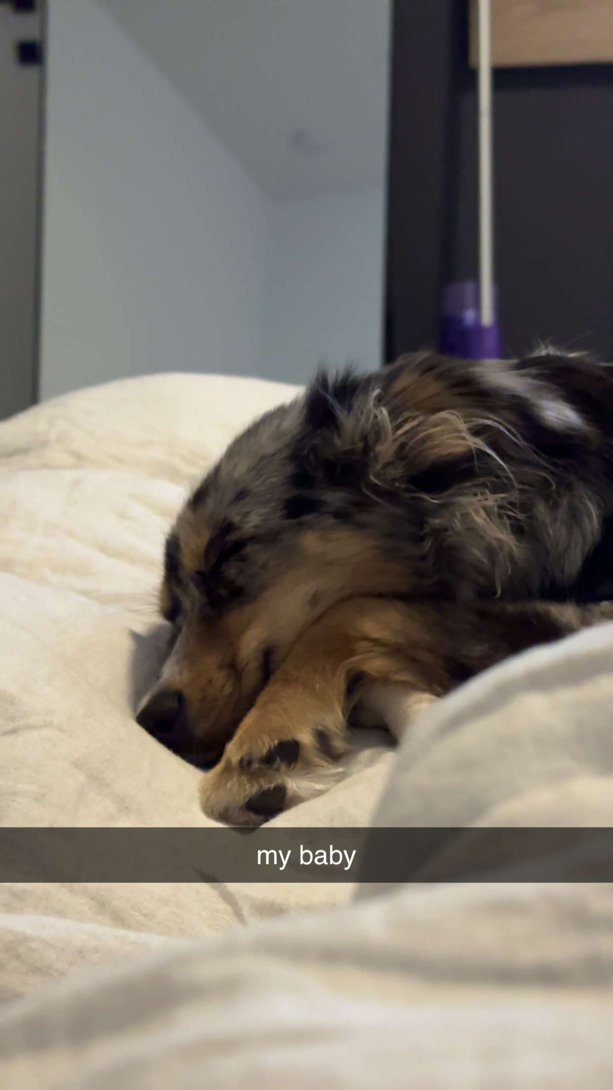 sadie.mckenna snapchat image archive image