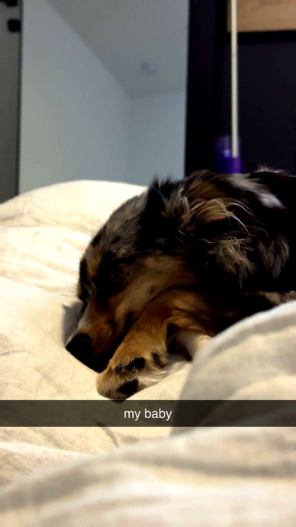 sadie.mckenna image ~ Altpins