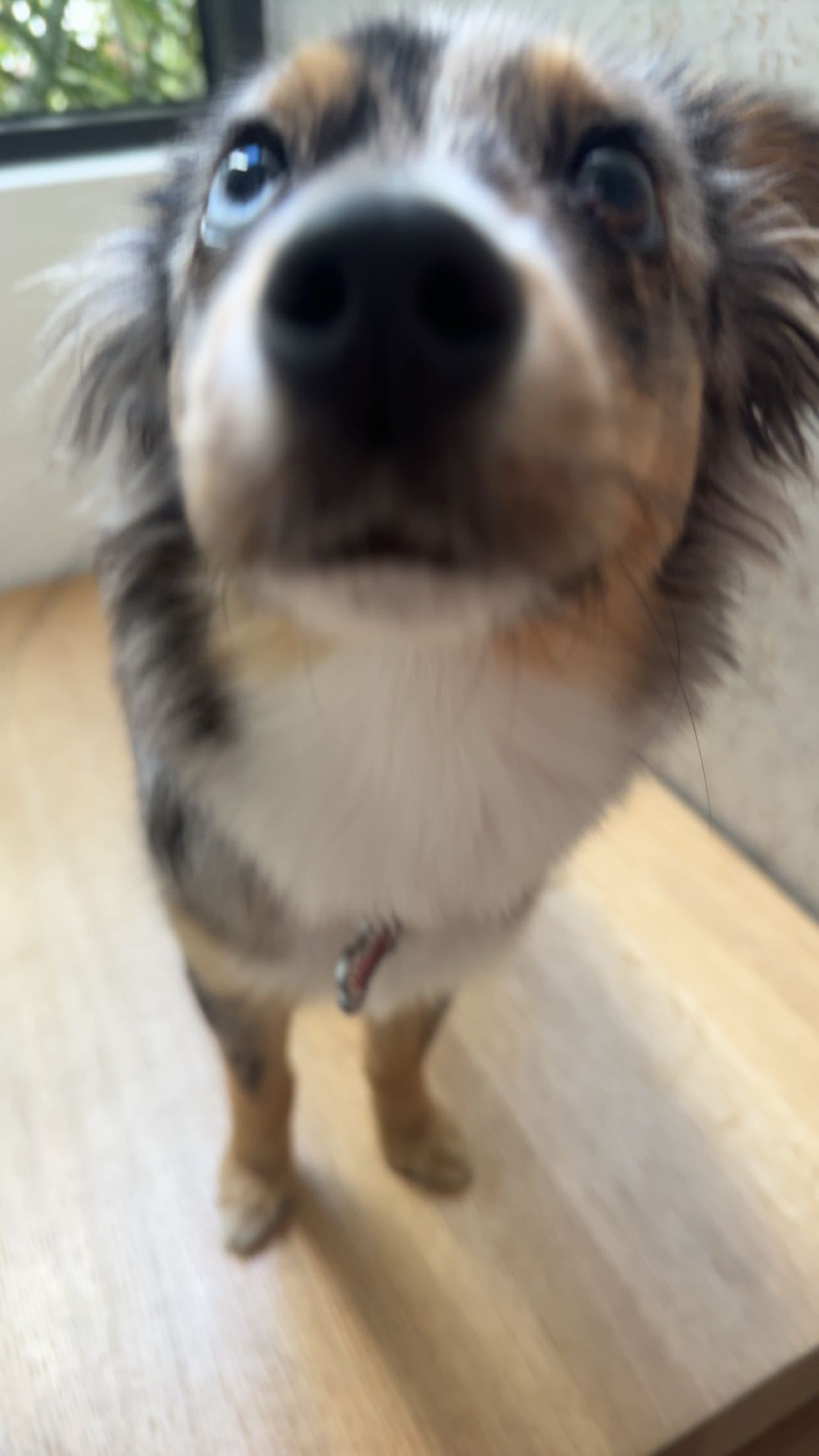 sadie.mckenna snapchat image archive image