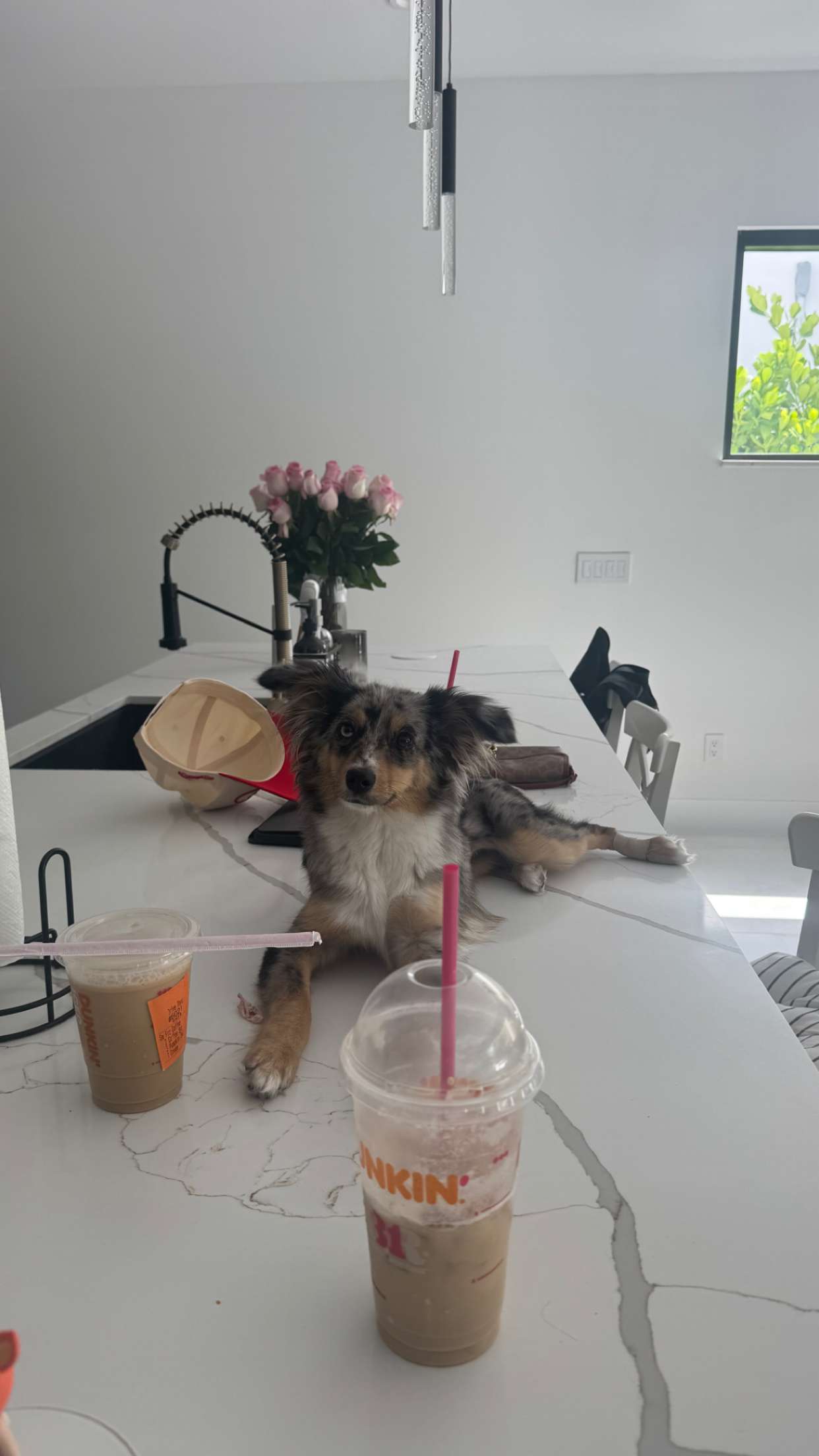 sadie.mckenna snapchat image archive image