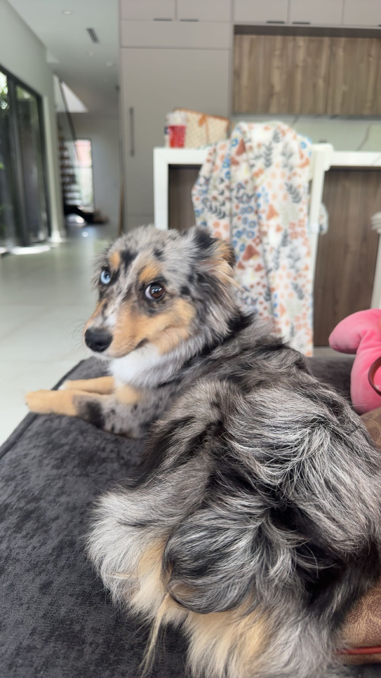 sadie.mckenna snapchat image archive image