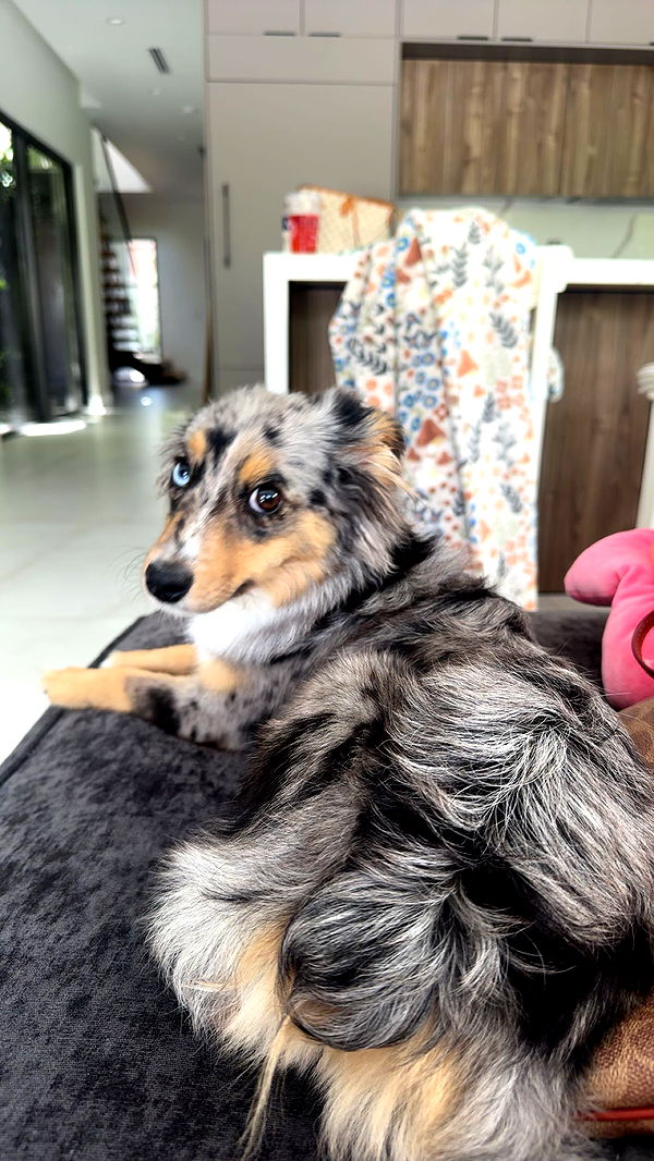 sadie.mckenna image ~ Altpins