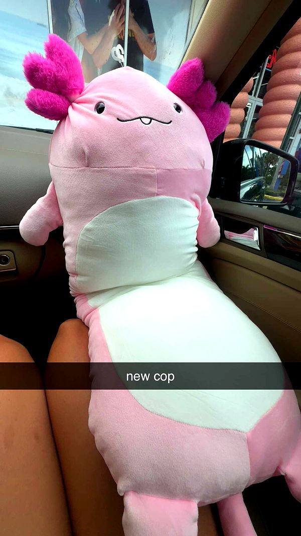 sadie.mckenna image ~ Altpins