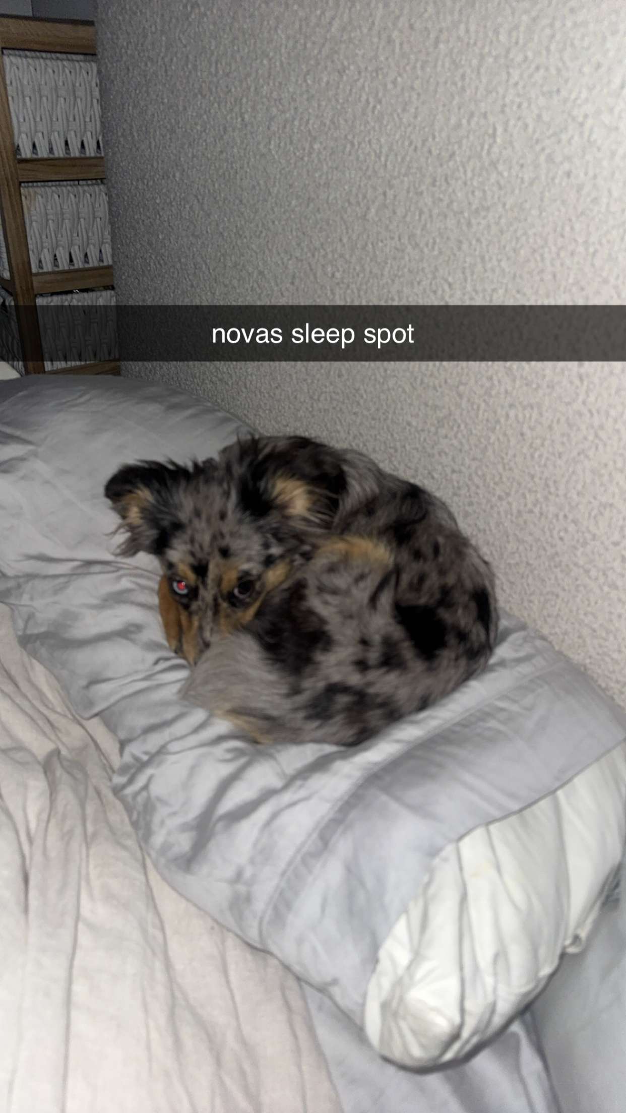 sadie.mckenna snapchat image archive image