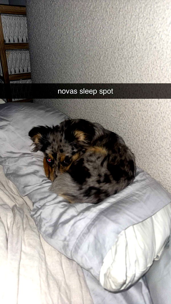 sadie.mckenna image ~ Altpins