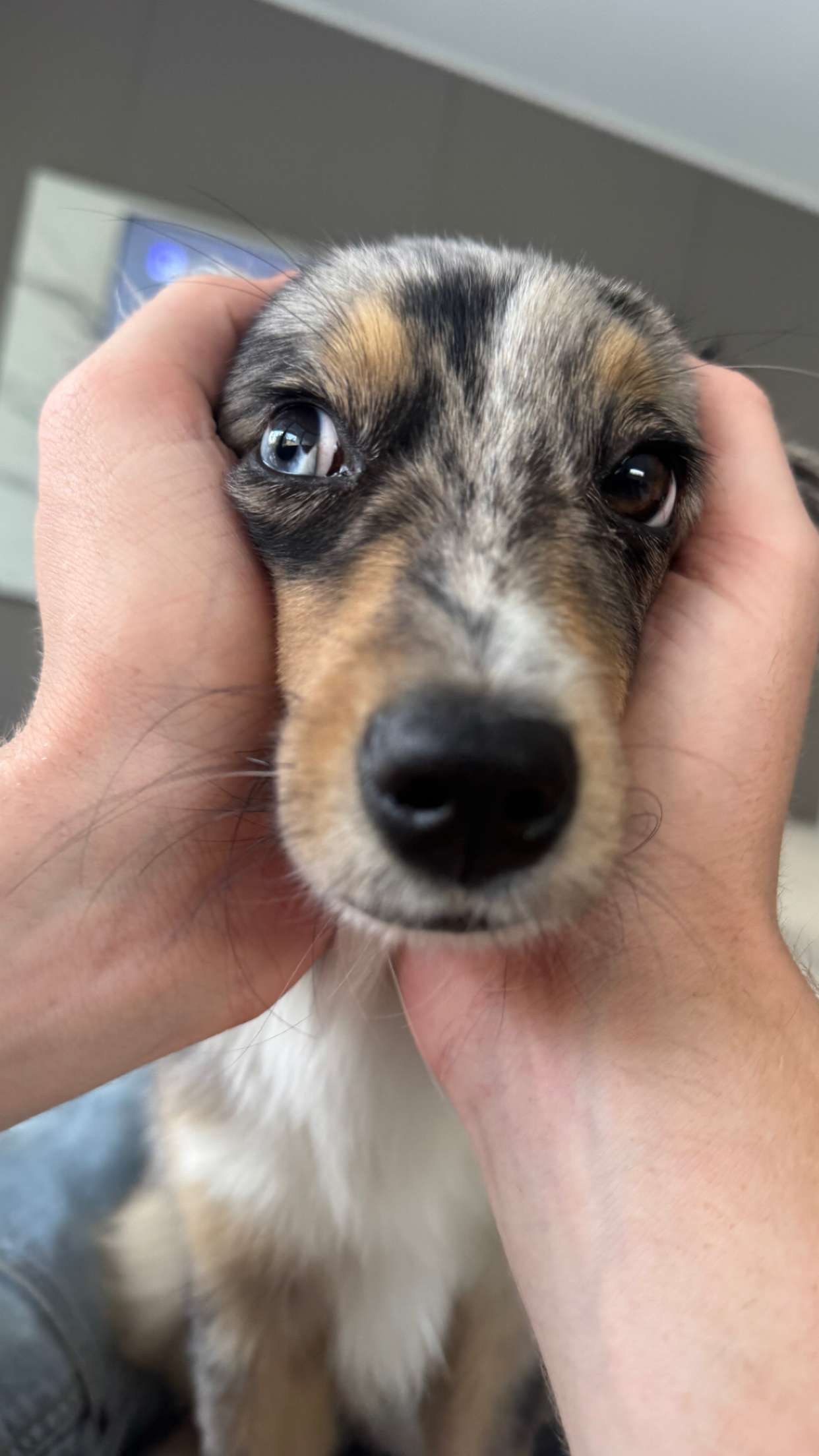 sadie.mckenna snapchat image archive image