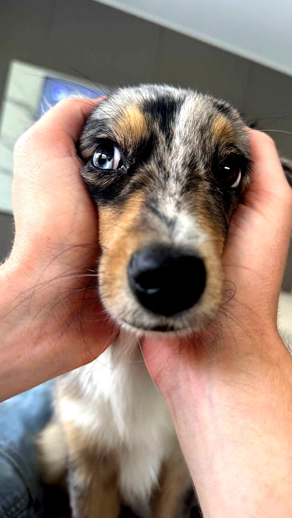 sadie.mckenna image ~ Altpins