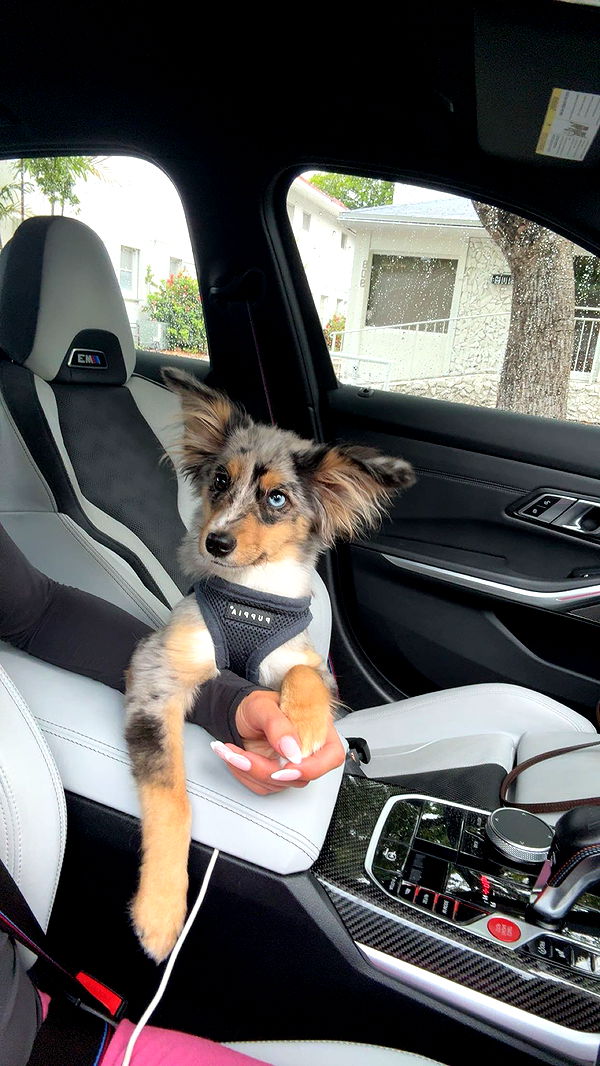 sadie.mckenna image ~ Altpins