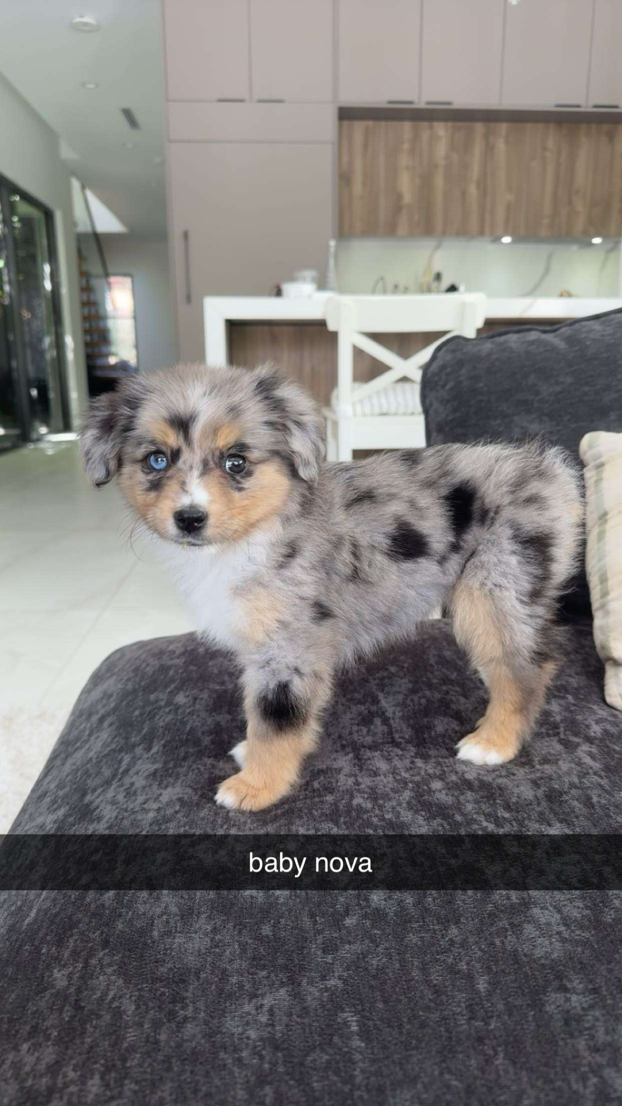 sadie.mckenna snapchat image archive image