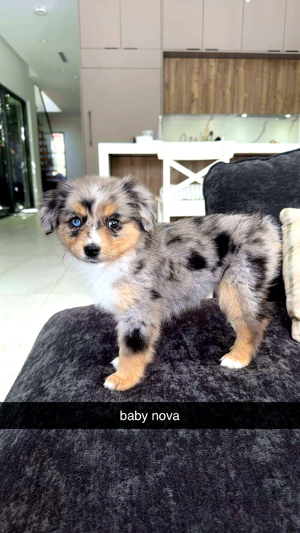 sadie.mckenna image ~ Altpins