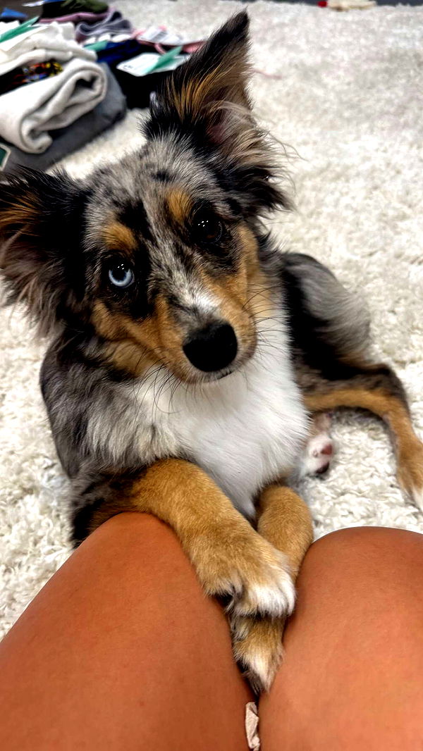 sadie.mckenna image ~ Altpins