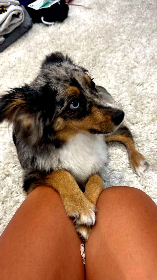 sadie.mckenna image ~ Altpins