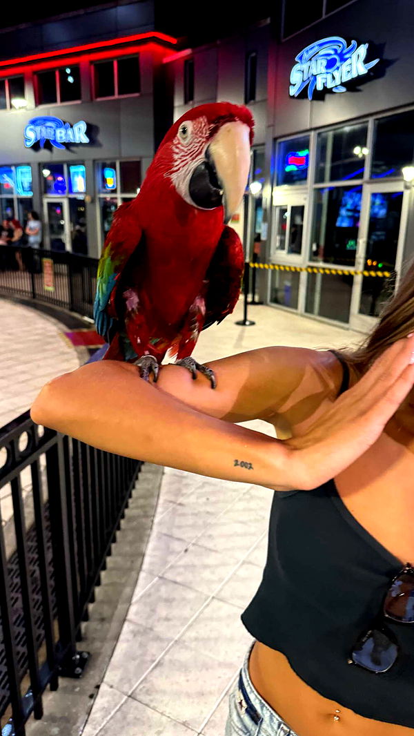 sadie.mckenna image ~ Altpins