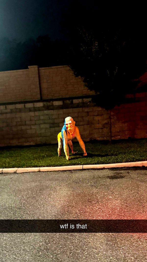 sadie.mckenna image ~ Altpins