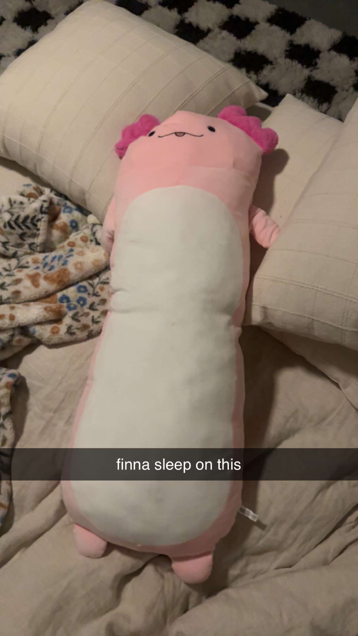 sadie.mckenna snapchat image archive image