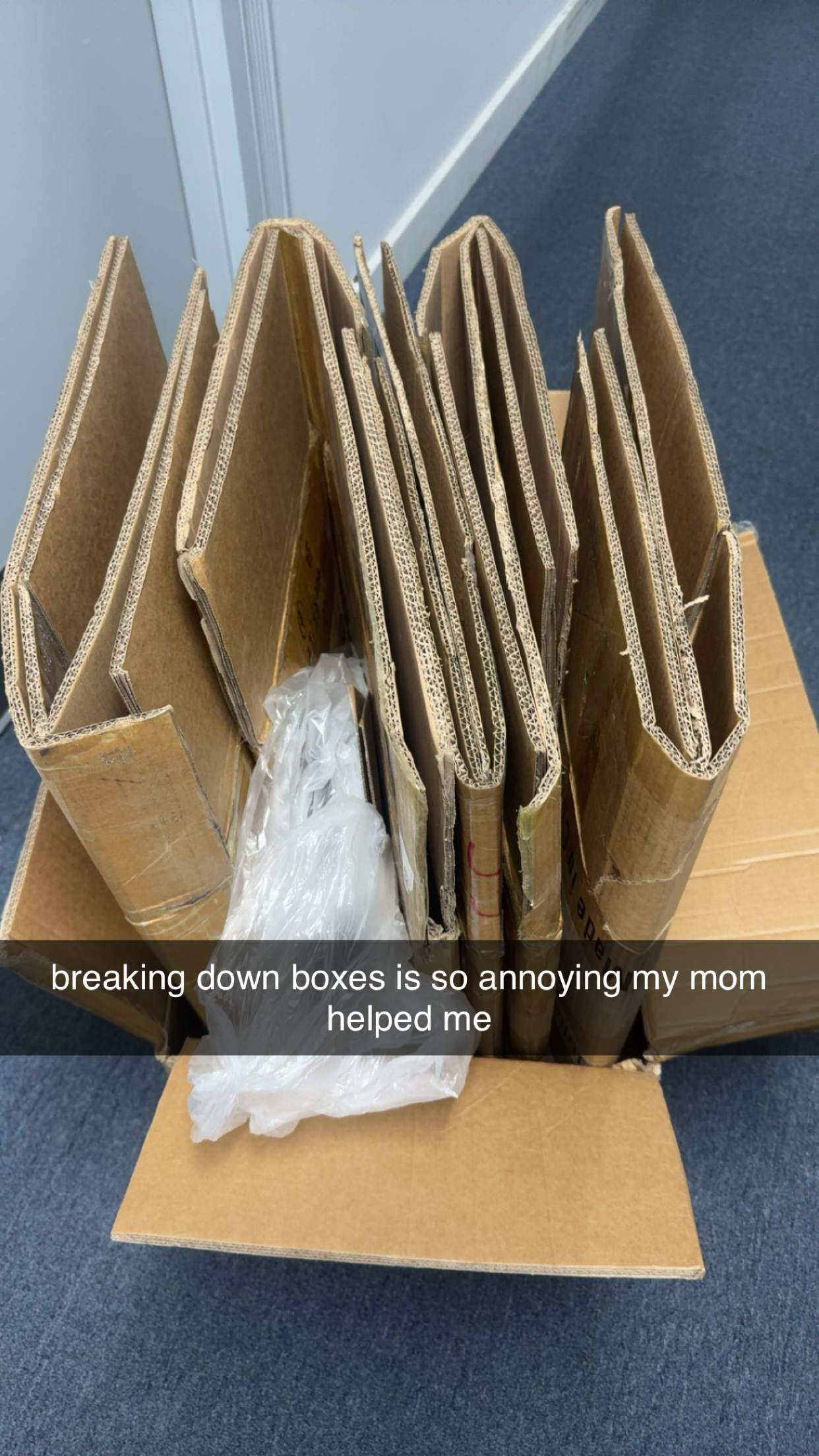 sadie.mckenna snapchat image archive image