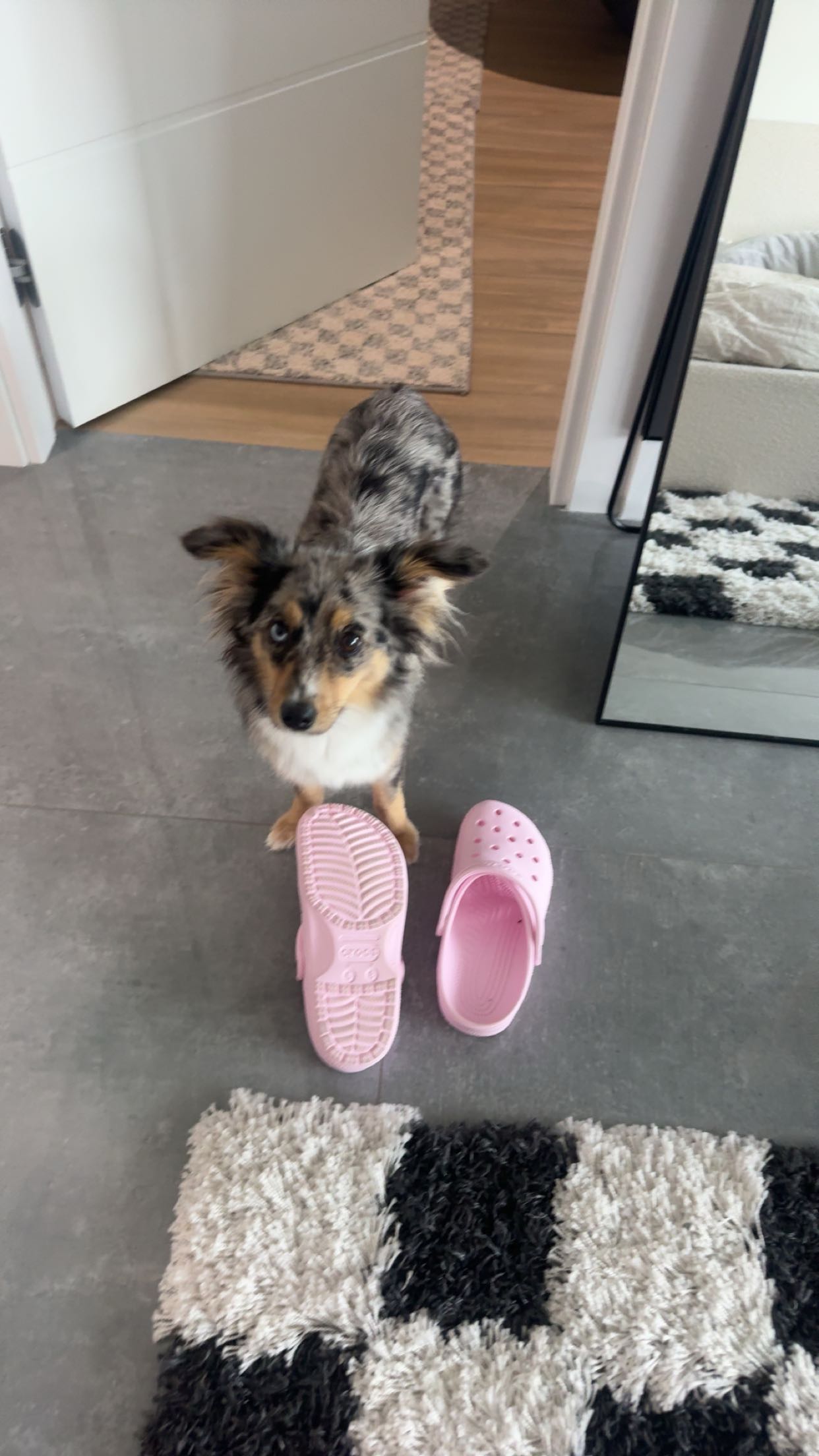 sadie.mckenna snapchat image archive image