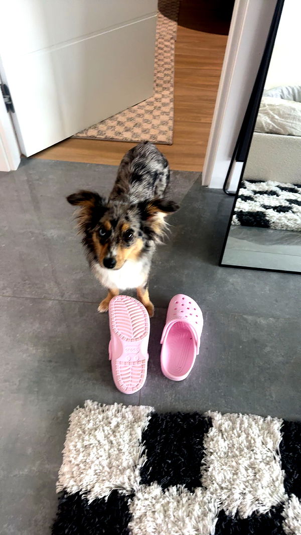 sadie.mckenna image ~ Altpins