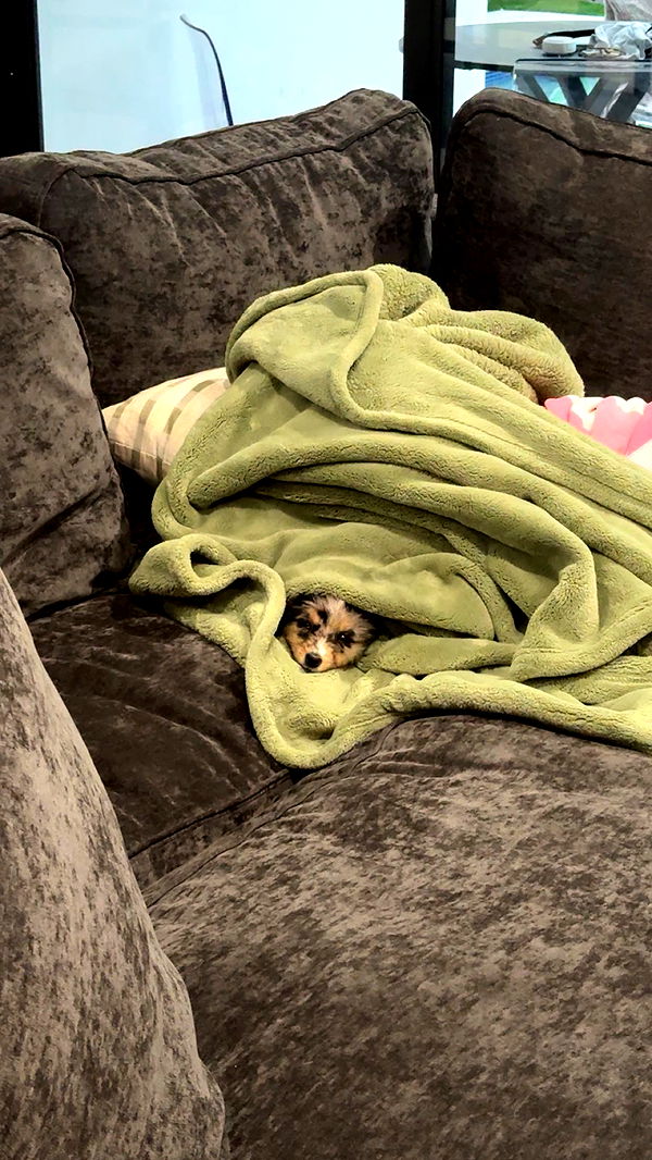 sadie.mckenna image ~ Altpins