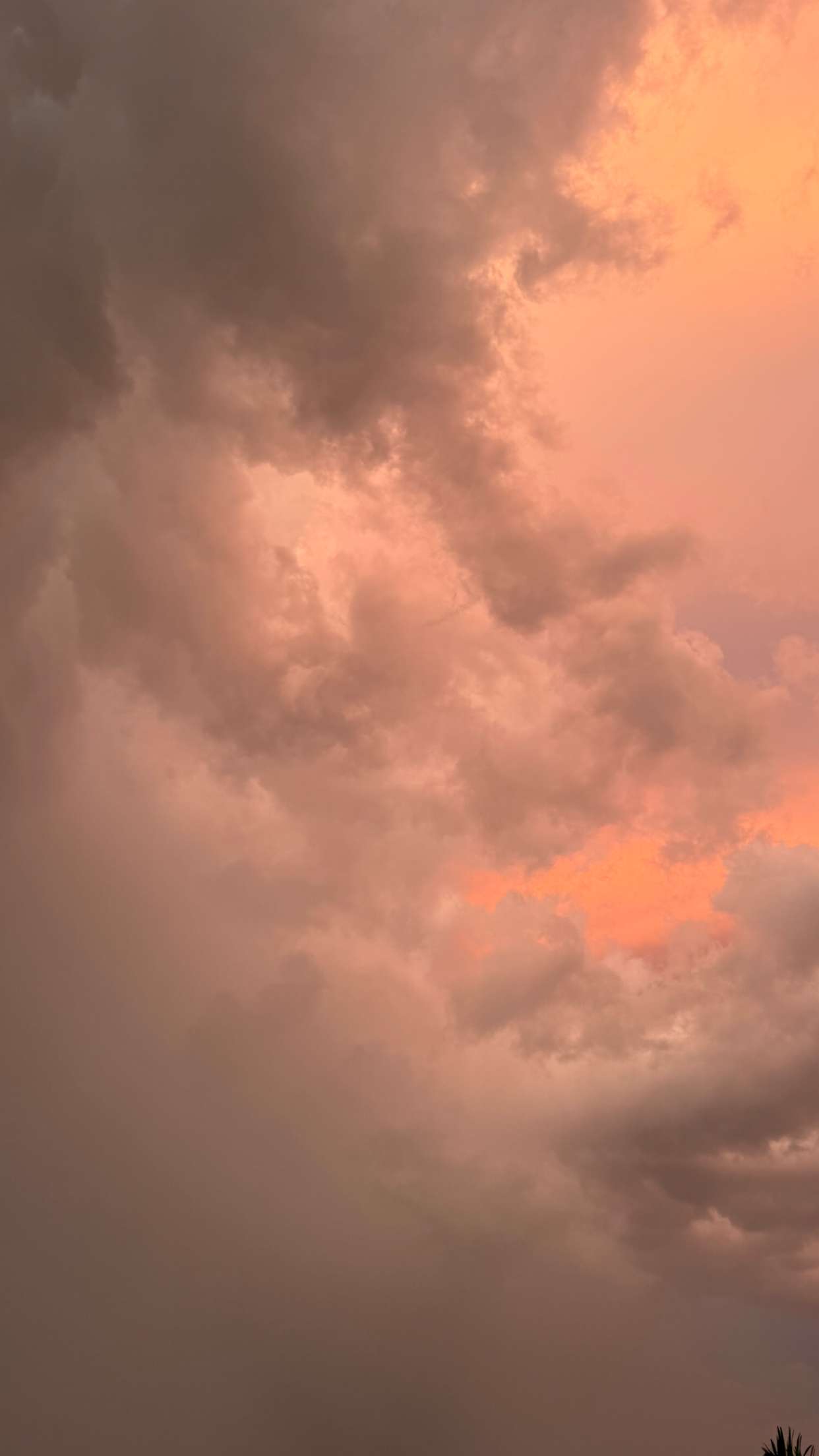 sadie.mckenna snapchat image archive image