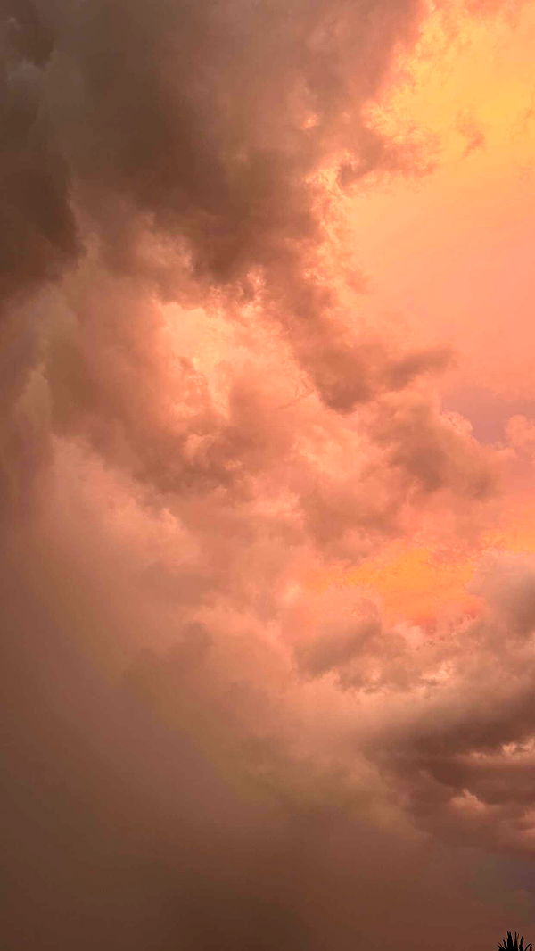 sadie.mckenna image ~ Altpins