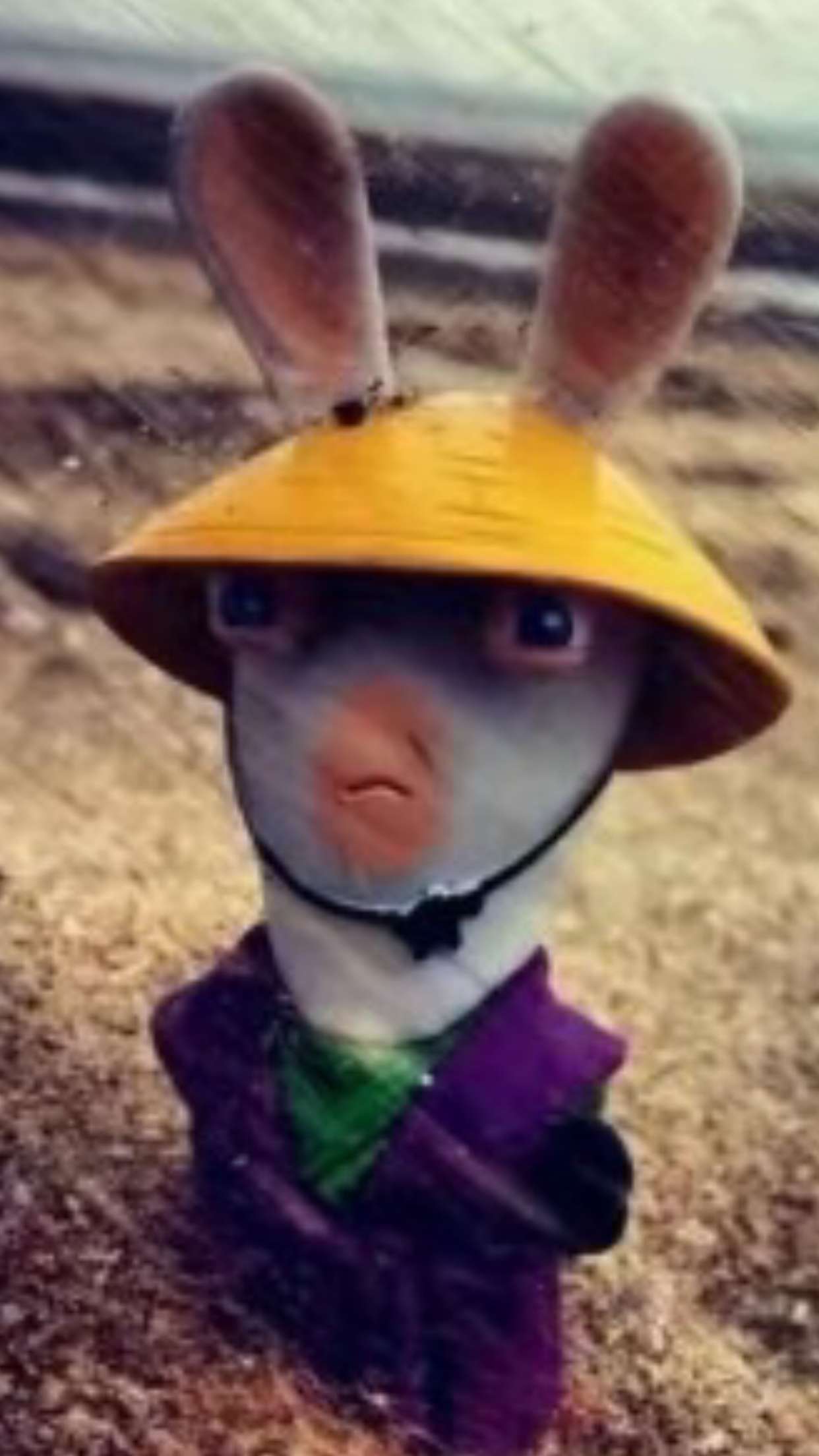 sadie.mckenna snapchat image archive image