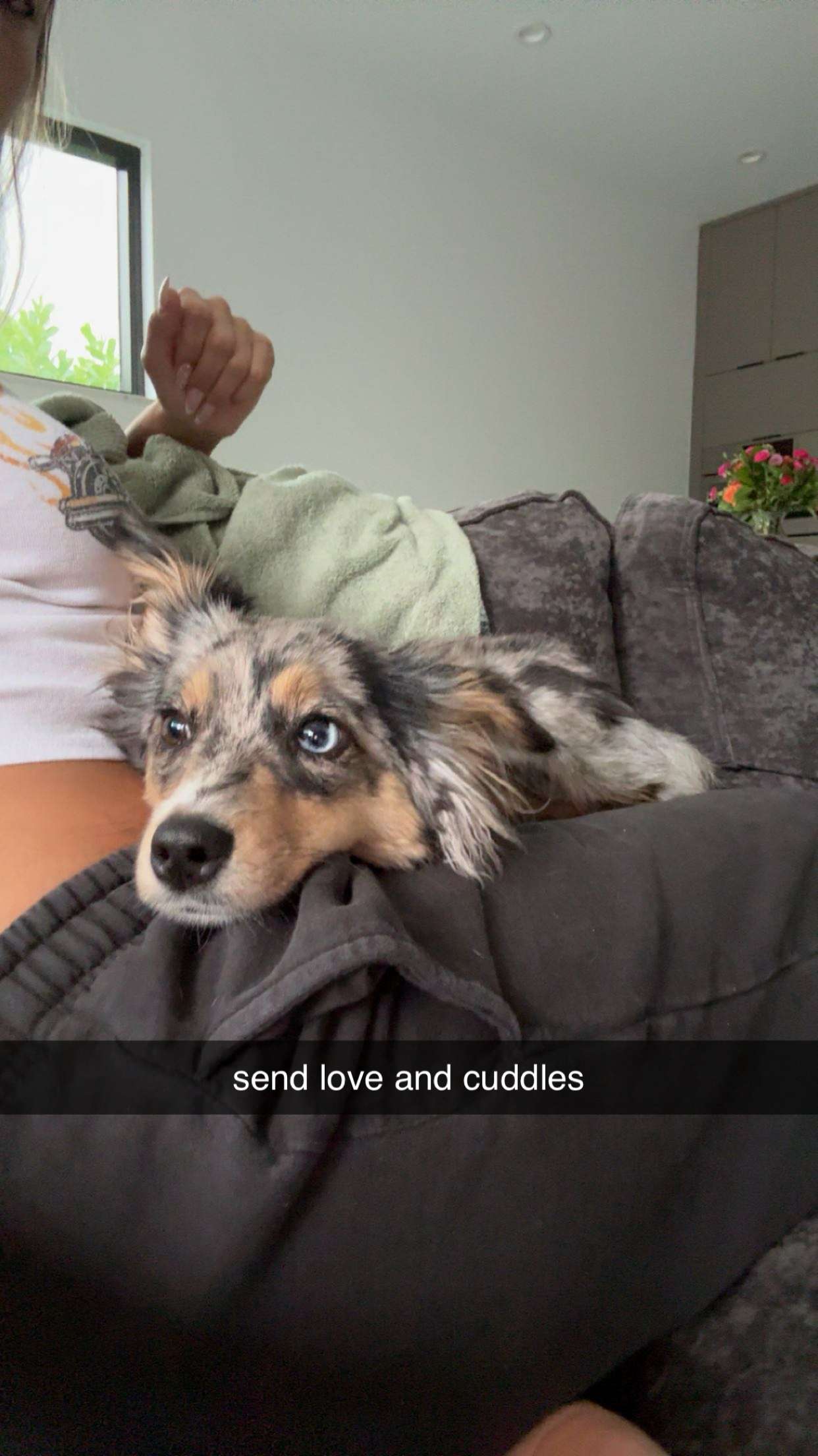 sadie.mckenna snapchat image archive image