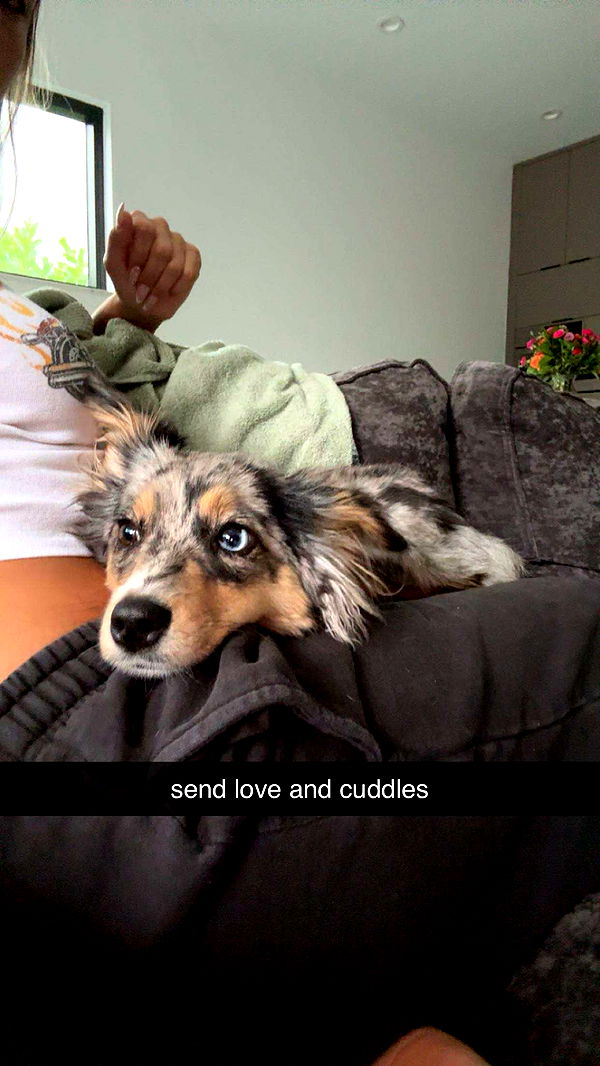 sadie.mckenna image ~ Altpins